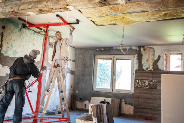 Best Insulation Maintenance and Repair in Peosta, IA