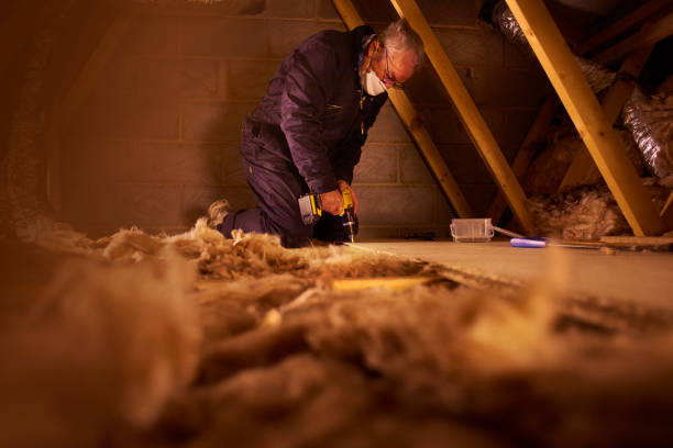 Best Types of Insulation in Peosta, IA