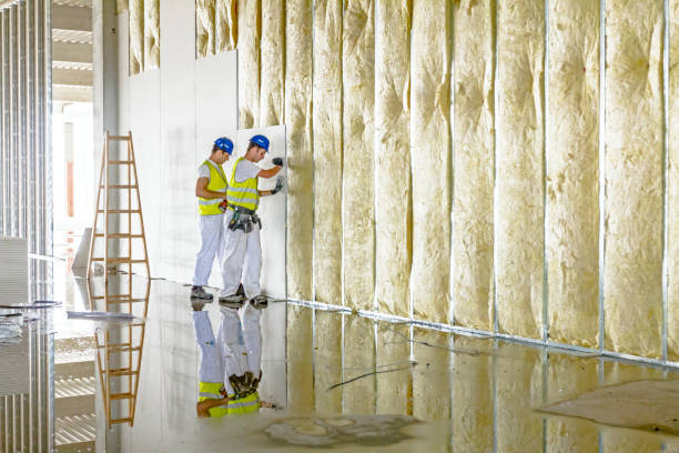 Best Commercial Insulation in Peosta, IA